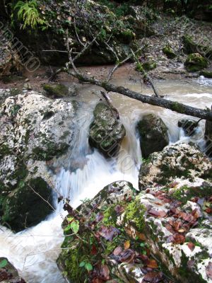 Falls