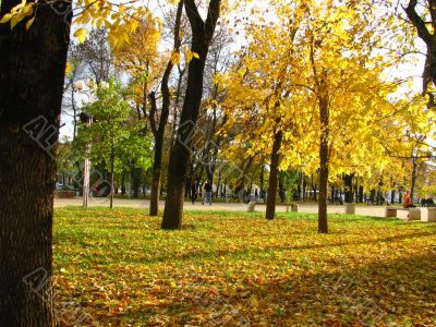 Autumn