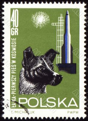 First dog Laika in space on post stamp