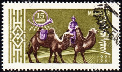 Cameleer with two camels on post stamp