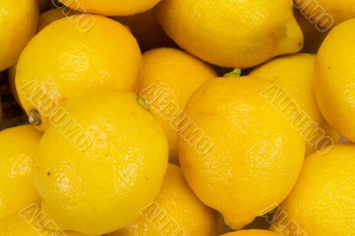  lemon