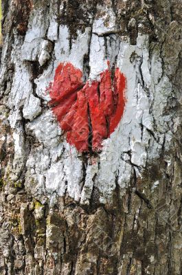Love heart