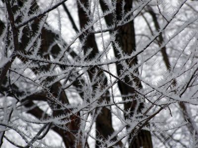 Hoarfrost