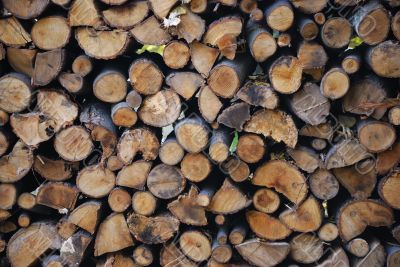 Wooden texture background