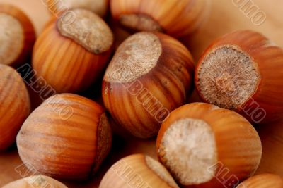 Hazelnut