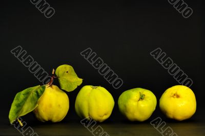 Quince fruit