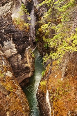 a raging torrent a mountain canyon