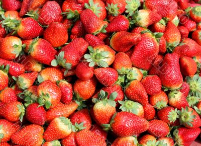 fresh strawberry