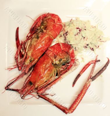 two prawns 