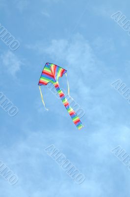 striped kite