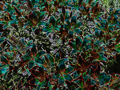 dark  abstract background