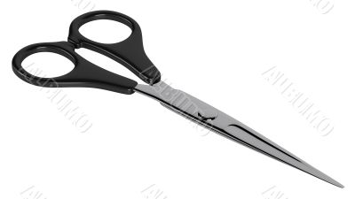 Scissors