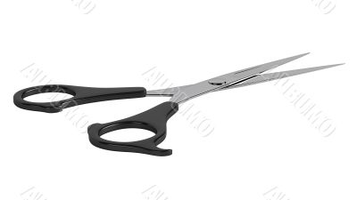 Scissors