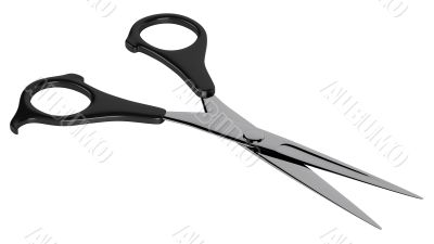 Scissors