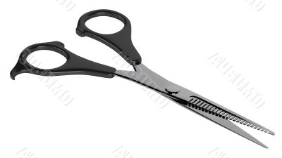 Scissors