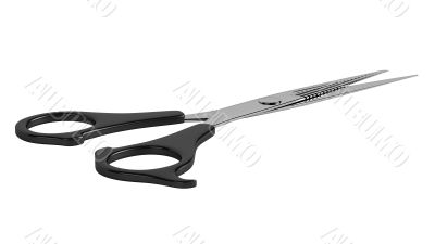 Scissors