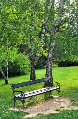 Bench in park