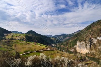 Spring morning in countryside
