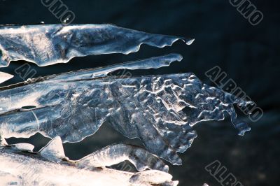 Ice