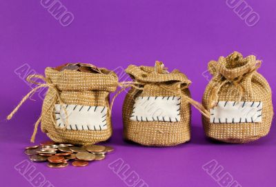 Three sacks full of coins