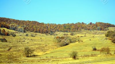 Beautiful autumn