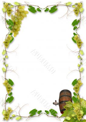 vines and grapes