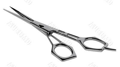 Scissors