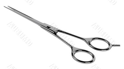 Scissors
