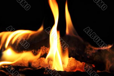 Red flame on the black background