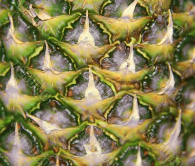 Image of big appetizing pineapple background