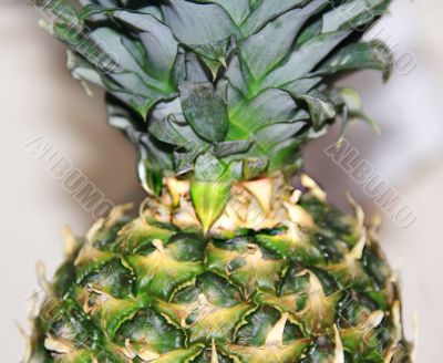 Image of big appetizing pineapple background