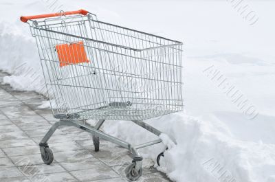 Shopping cart