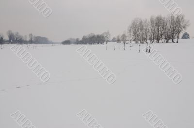 Winter landscape