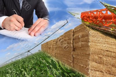 layout for agriculture