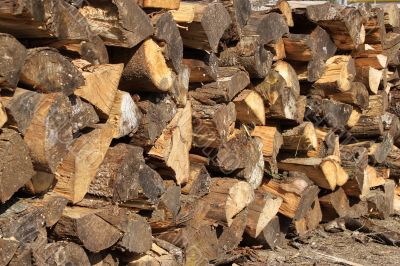 wood logs