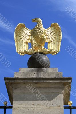 eagle