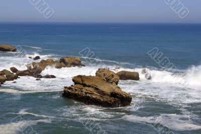 Wild Coast