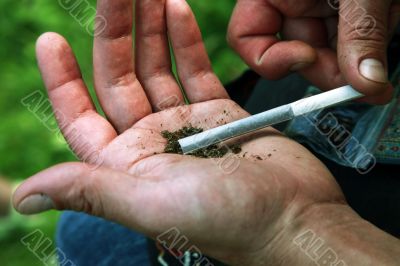 Cigarette with marihuana