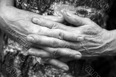 Hands 