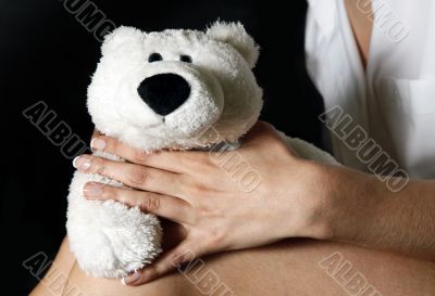 Toy bear
