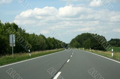 natural area in the road