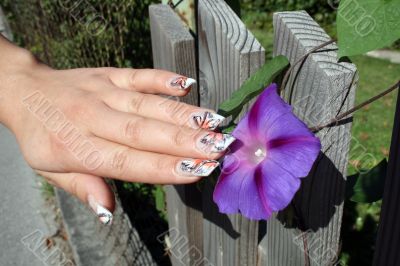 manicure and delicate flower 