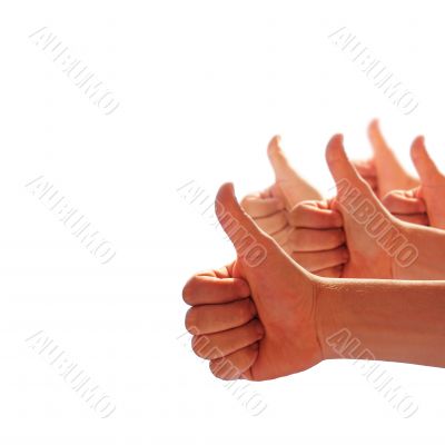 thumbs up on white background