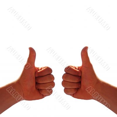 two hands on white background