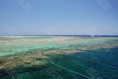 boat to coral reef