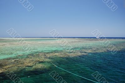 boat to coral reef