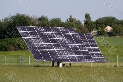 solar plants in the field