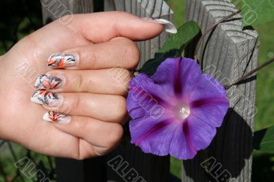 manicure and blue flower 