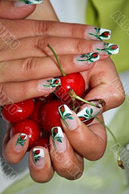 beautiful female hands