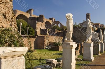 Romano Forum,Rome